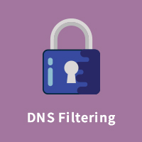 DNS Filtering